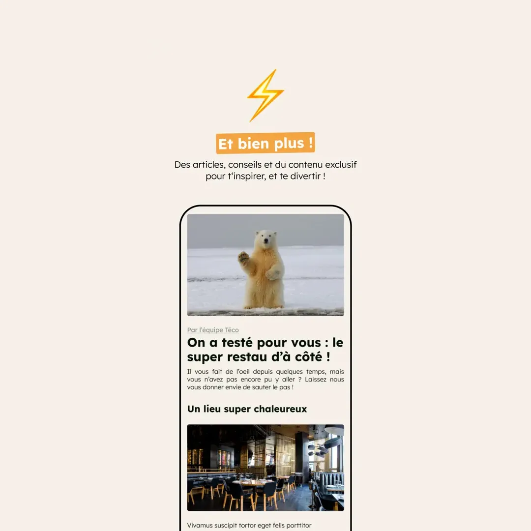 Téco screenshot 2