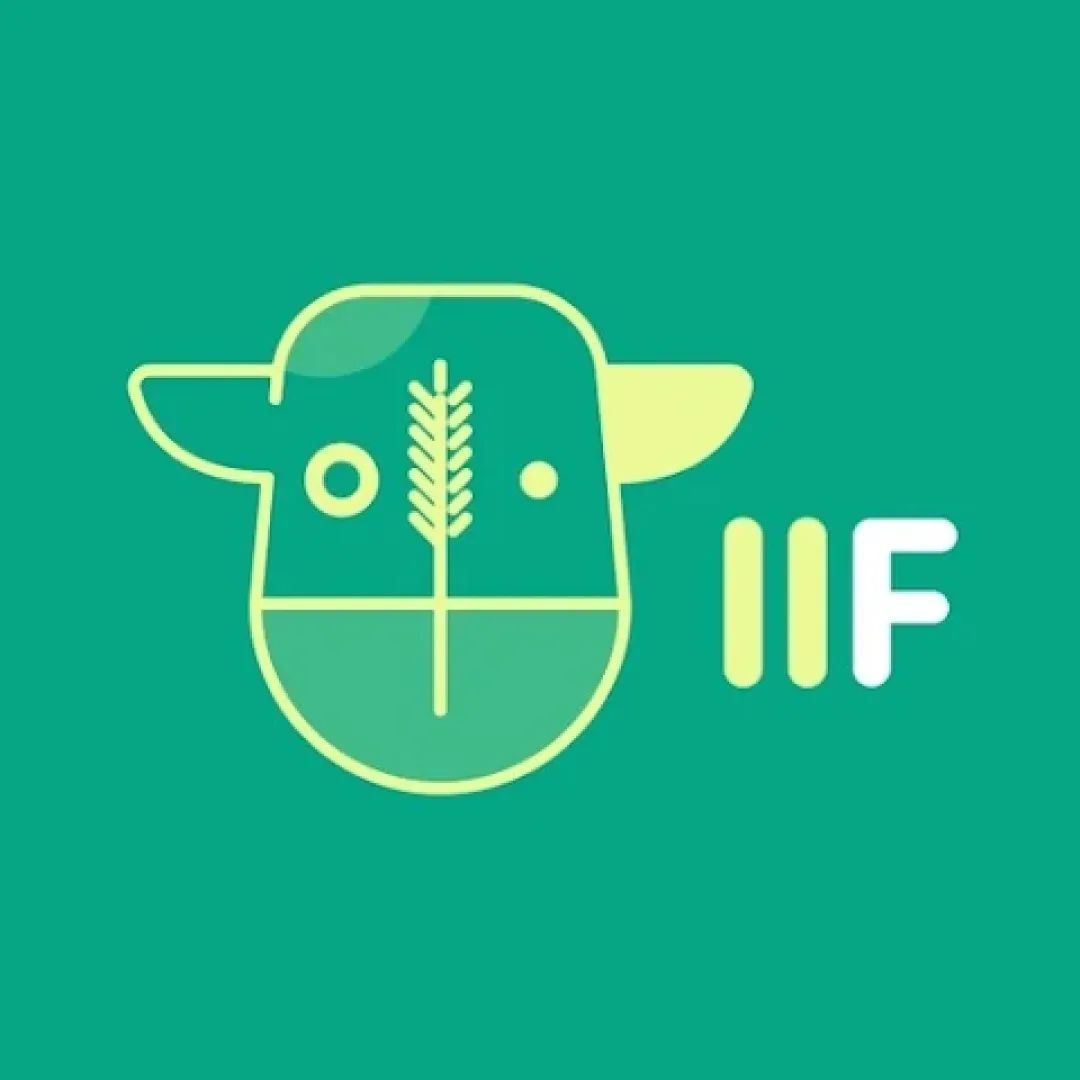 IIF logo